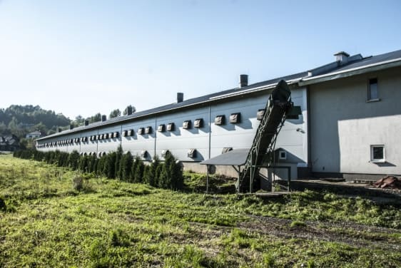 Gór StalFerma Drobiu, Zegartowice, 2014